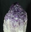 Natural Amethyst Crystal Bouquet - With Metal Stand #62840-1